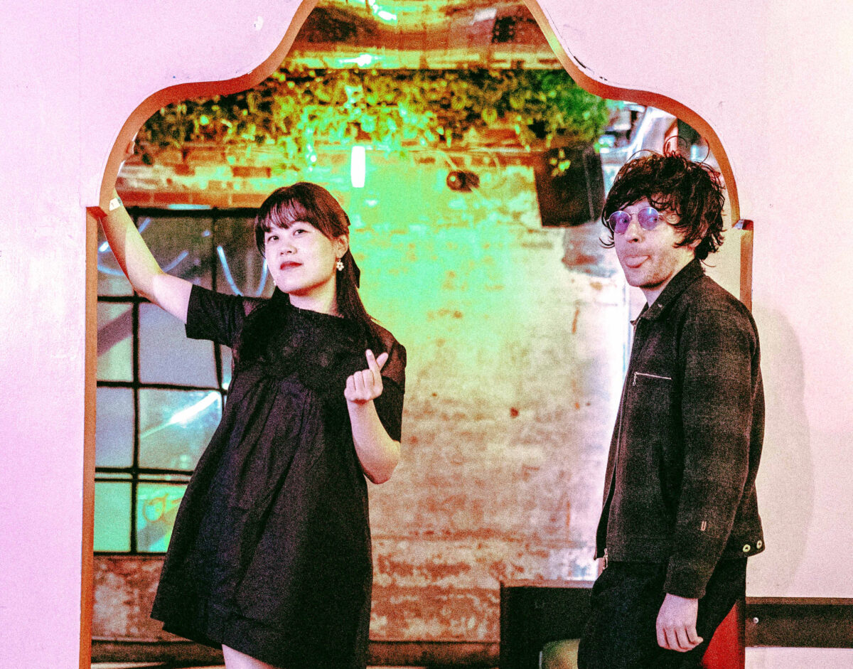 Chinese American Bear